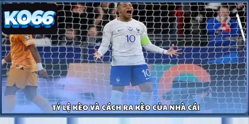 Tỷ lệ kèo và cách ra kèo của nhà cái